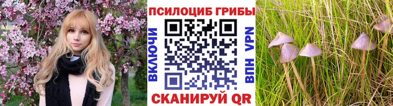 ОМГ ОМГ рабочий сайт  Усмань  Псилоцибиновые грибы мицелий 